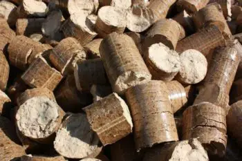 Best Pellets for Pellet Stove: Identify Hottest Wood Pellets