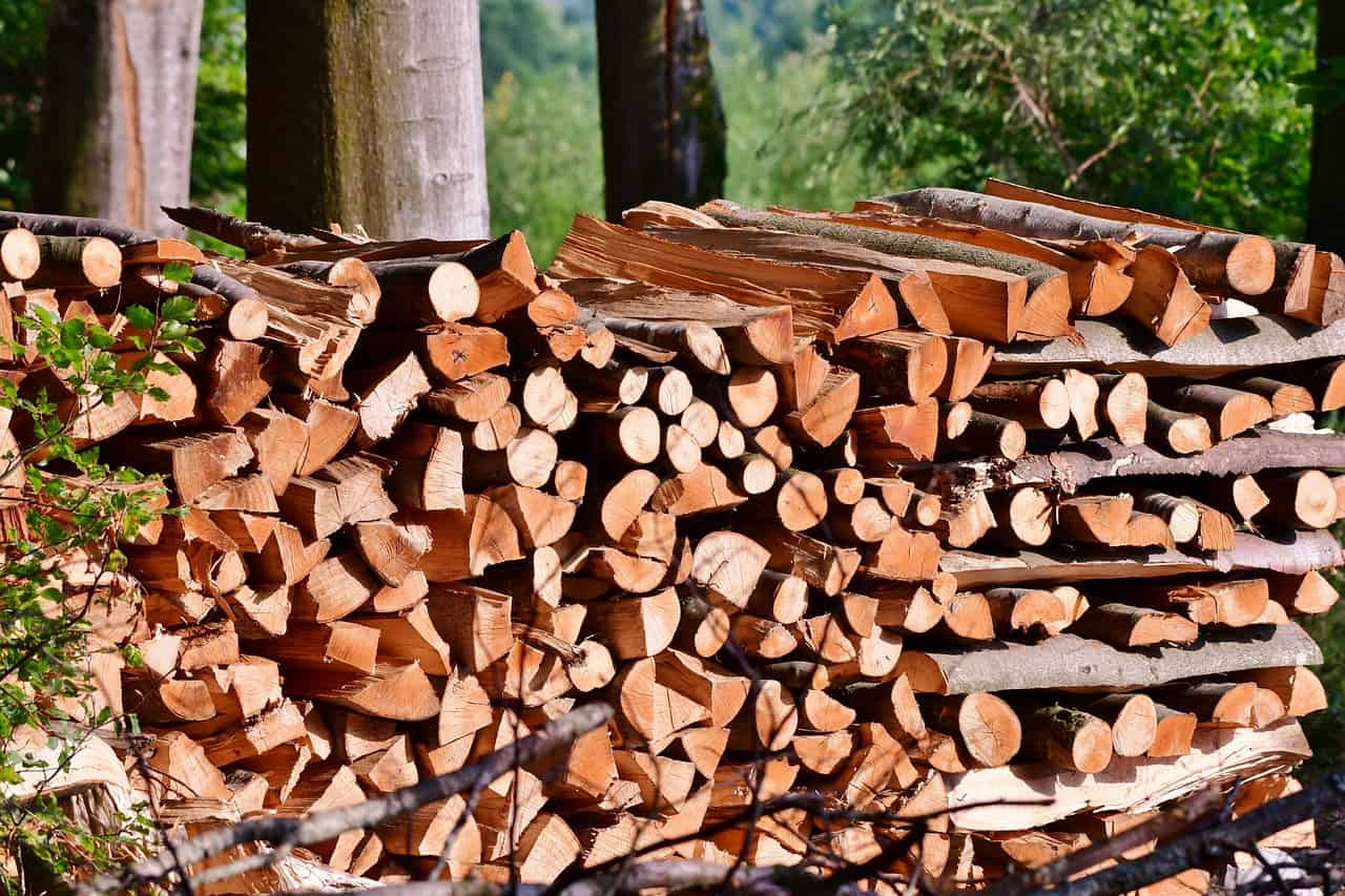 stacking seasoned firewood
